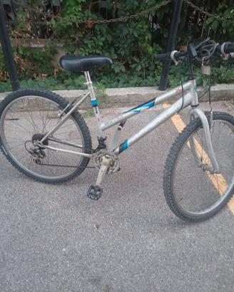 bicicletta 