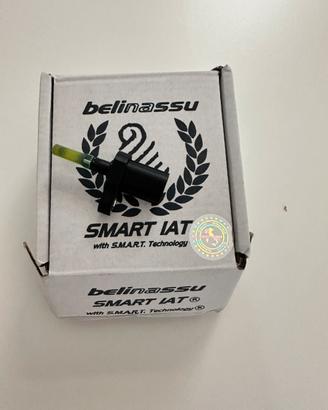 Smart IAT Belinassu- triumph bonneville T120