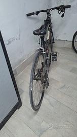 Bici sportiva