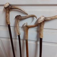 N.4  Bastoni Legno da Passeggio