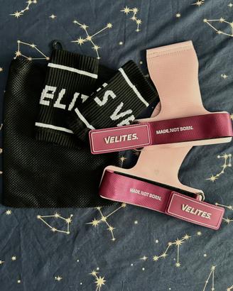 Paracalli Velites rosa M