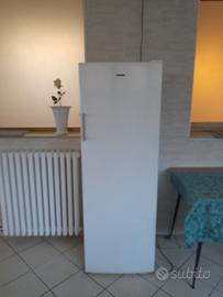 CONGELATORE VERTICALE 