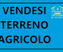 Terreno ad uliveto a Valderice (TP)