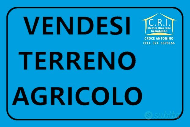 Terreno ad uliveto a Valderice (TP)