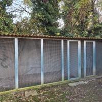 Struttura modulare per gabbie o volere