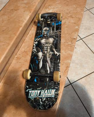 skateboard Tony hawk