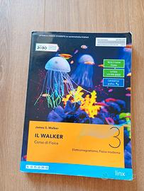 Il Walker 3