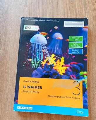 Il Walker 3
