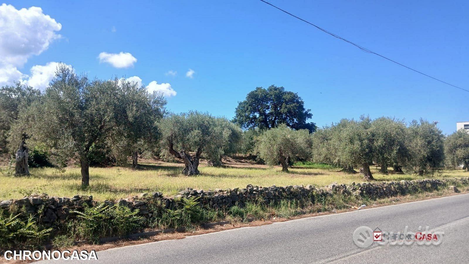 Terreno agricolo a Piano Torre - Vista 3