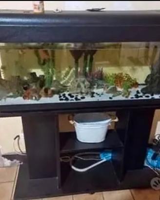 Acquario piu accessori