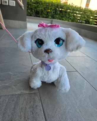 Peluche