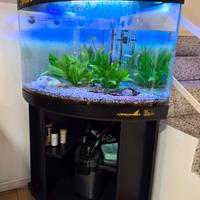 Acquario angolare 150 litri