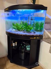 Acquario angolare 150 litri