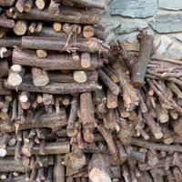 Legna di SOLO nocciolo