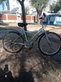 Mountain bike donna