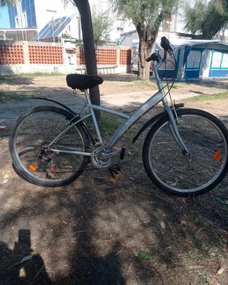 Mountain bike donna