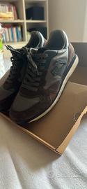 Scarpe uomo Guardiani n. 45