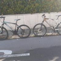 bici montebike 