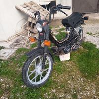 Califfone modello più