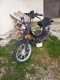 Califfone modello più