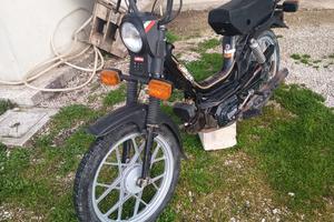 Califfone modello più