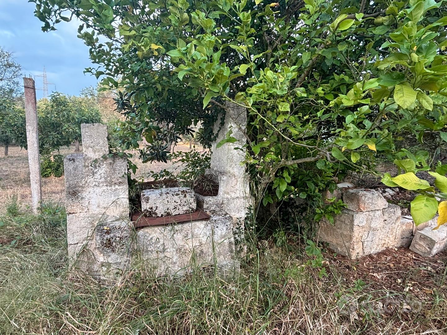 Terreno rustico nei pressi di SP70 Torre S.S./Lati - Vista 3