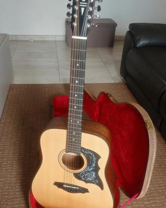 Chitarra acustica 12 corde 