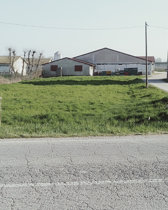 Terreno agricolo