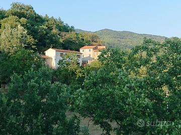 Casale di 110 mq con 8 ettari terreno