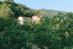 Casale di 110 mq con 8 ettari terreno