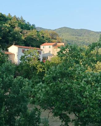 Podere agricolo di 8 ettari con casa, sorgente