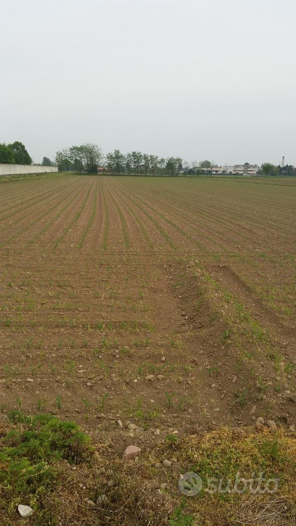 Terreno agricolo di 6300 mq a Castano Primo - Altro