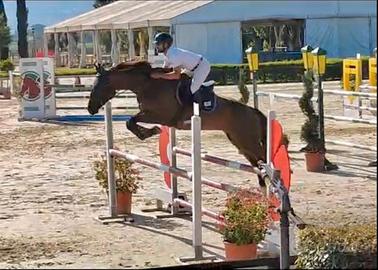 Cavallo