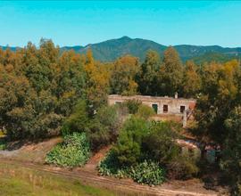 Azienda agricola San Priamo