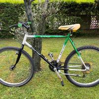 Mountain Bike Primula