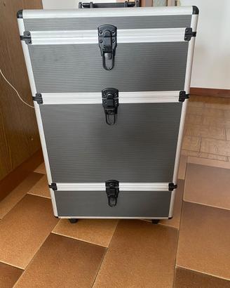 Trolley professionale