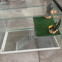 Teca tartarughe o piccoli rettili