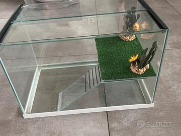 Teca tartarughe o piccoli rettili