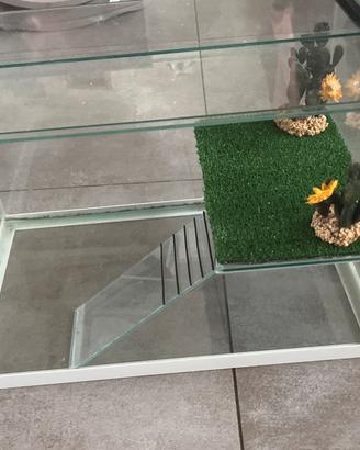 Teca tartarughe o piccoli rettili