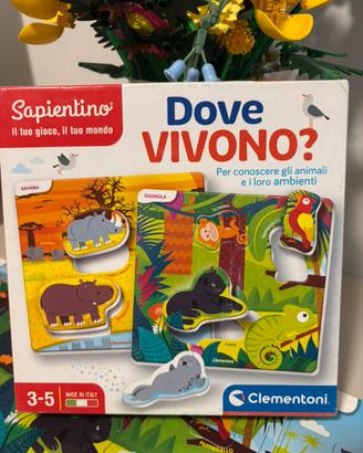 Sapientino