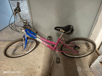 Mountain Bike Zephyr Thunder Wind