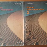 Itinerari nella Matematica 1 e 2 G. Zwirner