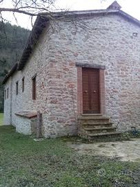 Casale, terreno e bosco