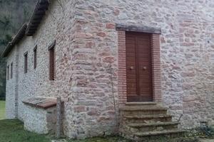 Casale, terreno e bosco