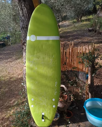 tavola da surf olaian 6.0