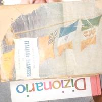 Manuale Conversazione italiano francese