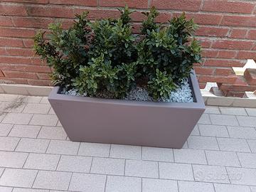 Una o due fioriere