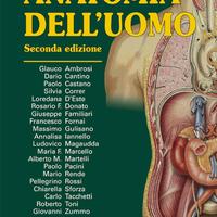 Anatomia dell'uomo