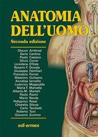 Anatomia dell'uomo