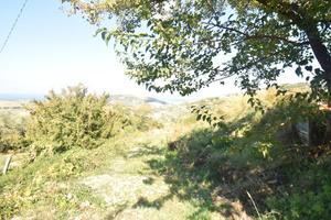 TER. AGRICOLO A AGROPOLI